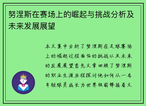 努涅斯在赛场上的崛起与挑战分析及未来发展展望